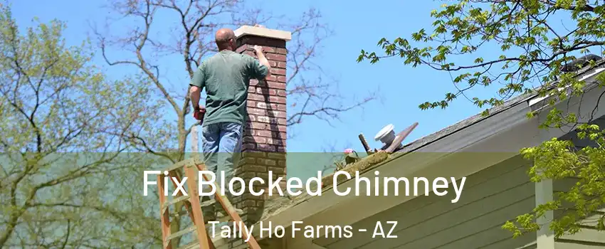 Fix Blocked Chimney Tally Ho Farms - AZ