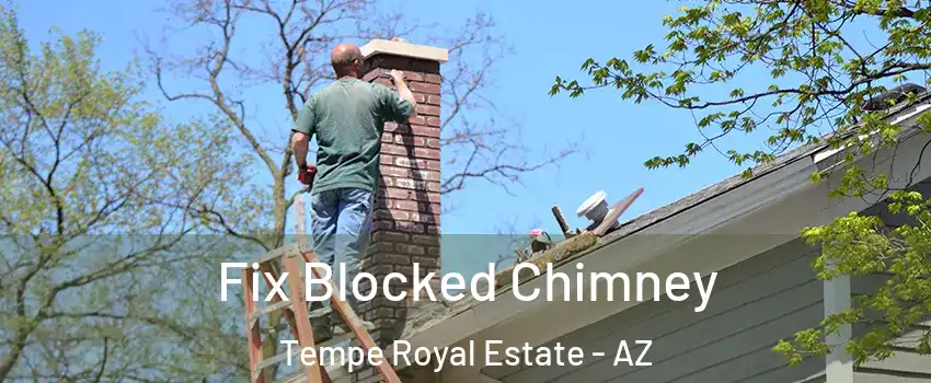 Fix Blocked Chimney Tempe Royal Estate - AZ