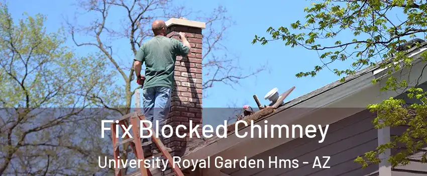 Fix Blocked Chimney University Royal Garden Hms - AZ