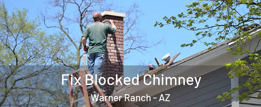 Fix Blocked Chimney Warner Ranch - AZ