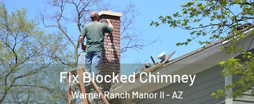 Fix Blocked Chimney Warner Ranch Manor II - AZ