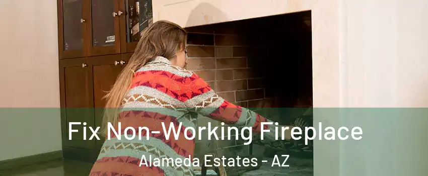 Fix Non-Working Fireplace Alameda Estates - AZ