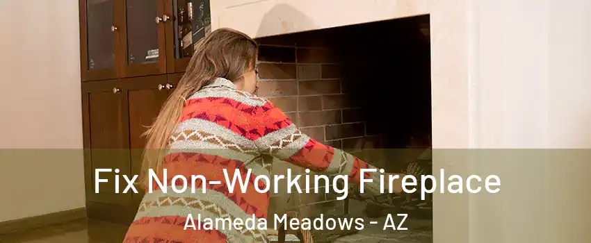 Fix Non-Working Fireplace Alameda Meadows - AZ