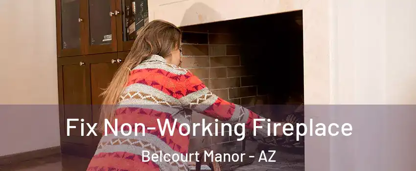 Fix Non-Working Fireplace Belcourt Manor - AZ