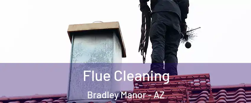 Flue Cleaning Bradley Manor - AZ