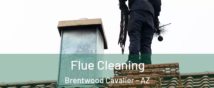 Flue Cleaning Brentwood Cavalier - AZ