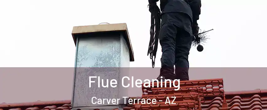 Flue Cleaning Carver Terrace - AZ