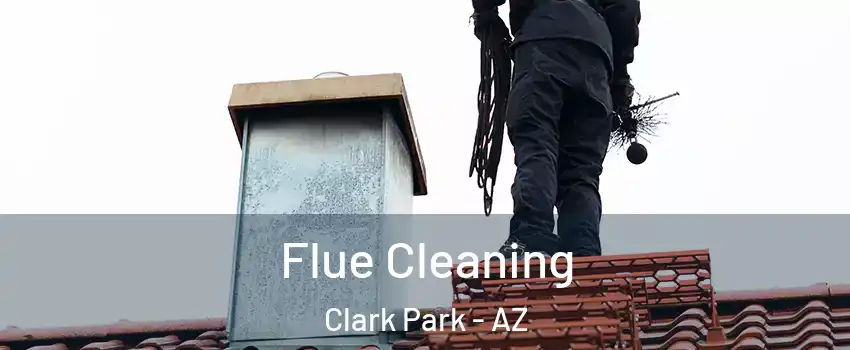 Flue Cleaning Clark Park - AZ