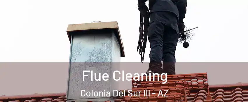 Flue Cleaning Colonia Del Sur III - AZ
