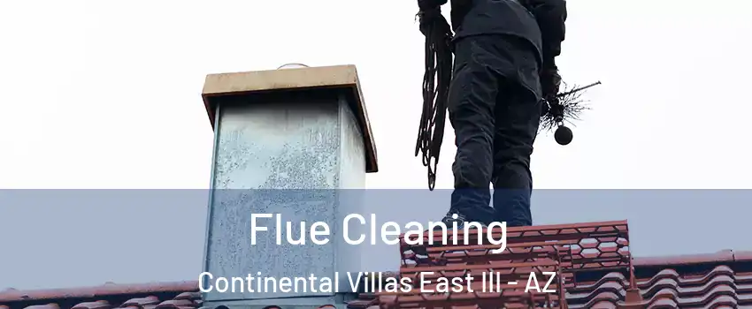 Flue Cleaning Continental Villas East III - AZ