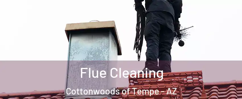 Flue Cleaning Cottonwoods of Tempe - AZ