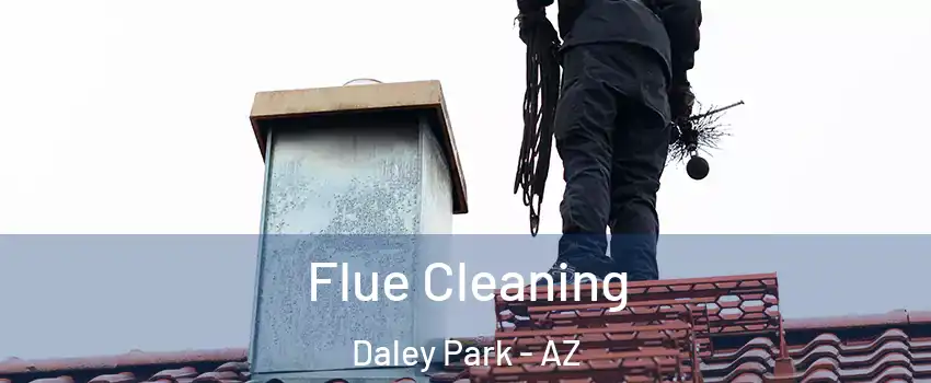 Flue Cleaning Daley Park - AZ