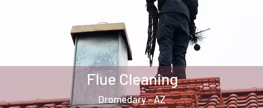 Flue Cleaning Dromedary - AZ