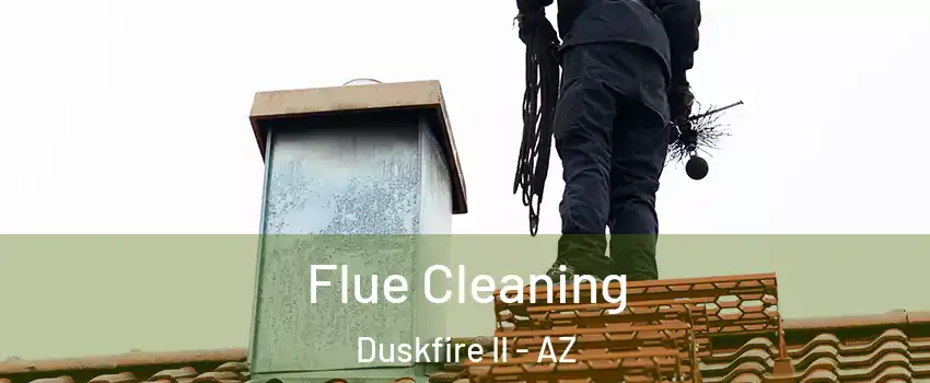 Flue Cleaning Duskfire II - AZ