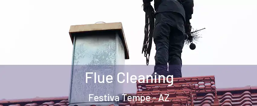Flue Cleaning Festiva Tempe - AZ