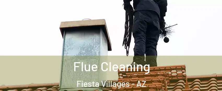Flue Cleaning Fiesta Villages - AZ