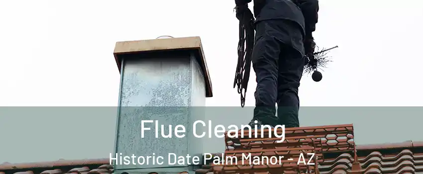 Flue Cleaning Historic Date Palm Manor - AZ