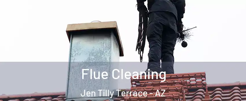Flue Cleaning Jen Tilly Terrace - AZ