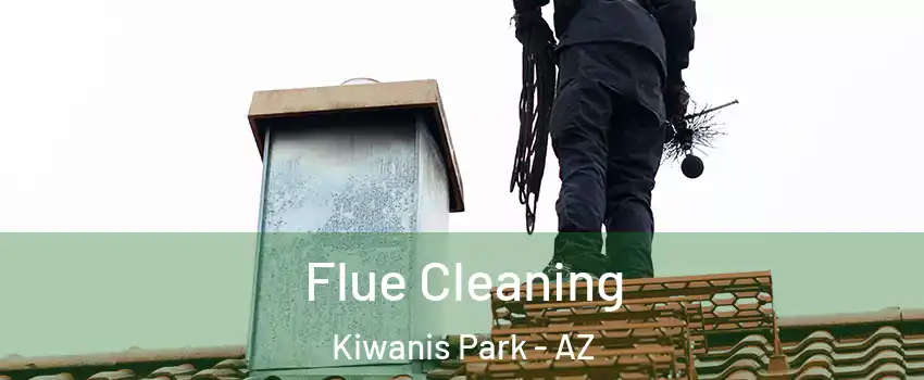 Flue Cleaning Kiwanis Park - AZ