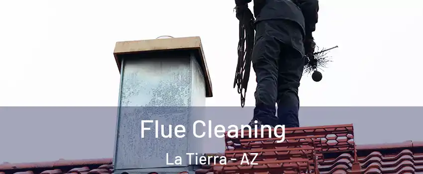 Flue Cleaning La Tierra - AZ
