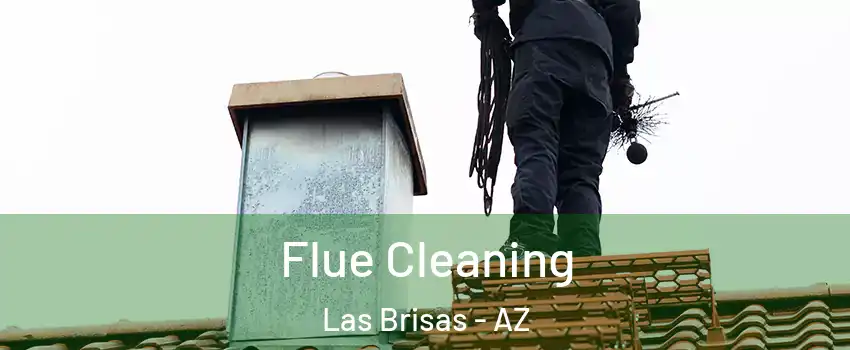 Flue Cleaning Las Brisas - AZ