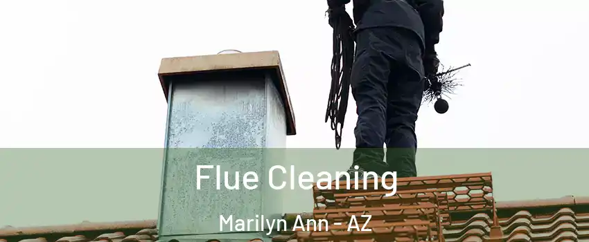 Flue Cleaning Marilyn Ann - AZ