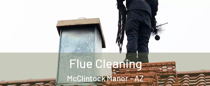 Flue Cleaning McClintock Manor - AZ