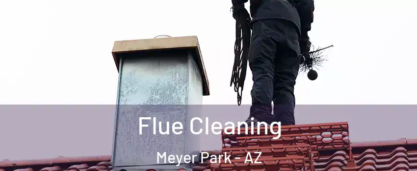 Flue Cleaning Meyer Park - AZ
