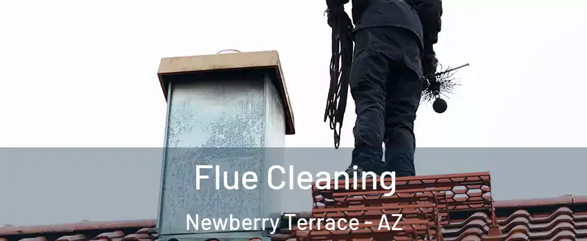 Flue Cleaning Newberry Terrace - AZ