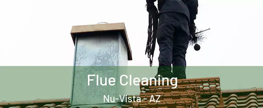 Flue Cleaning Nu-Vista - AZ