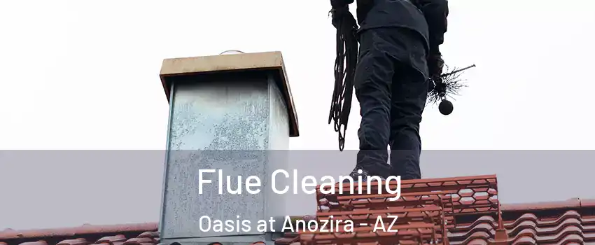 Flue Cleaning Oasis at Anozira - AZ