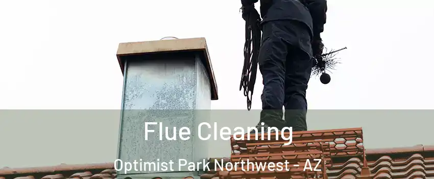 Flue Cleaning Optimist Park Northwest - AZ