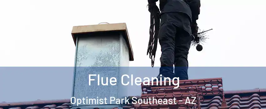 Flue Cleaning Optimist Park Southeast - AZ