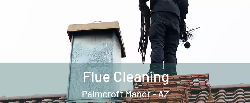 Flue Cleaning Palmcroft Manor - AZ