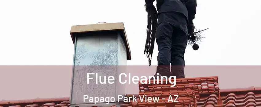 Flue Cleaning Papago Park View - AZ