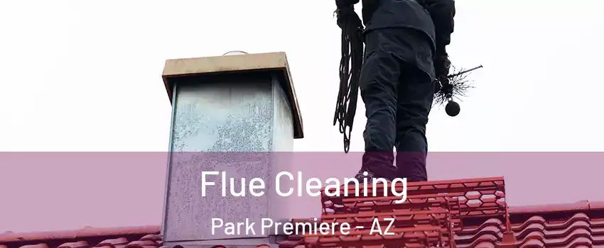 Flue Cleaning Park Premiere - AZ