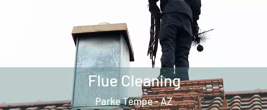Flue Cleaning Parke Tempe - AZ