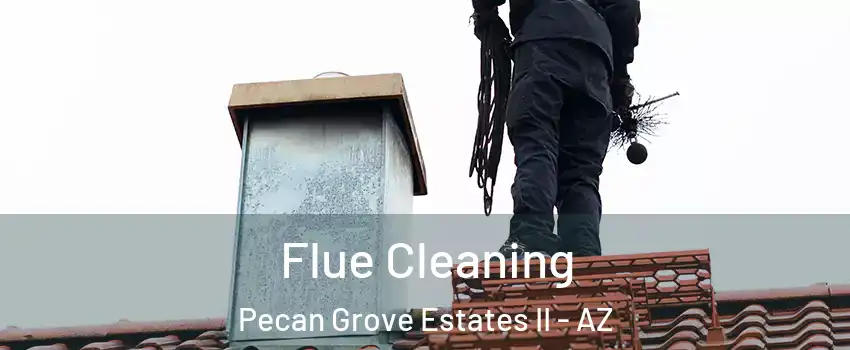 Flue Cleaning Pecan Grove Estates II - AZ