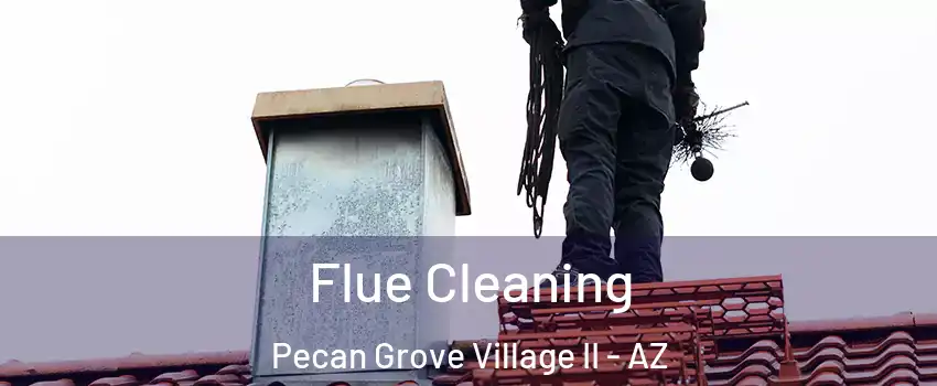 Flue Cleaning Pecan Grove Village II - AZ
