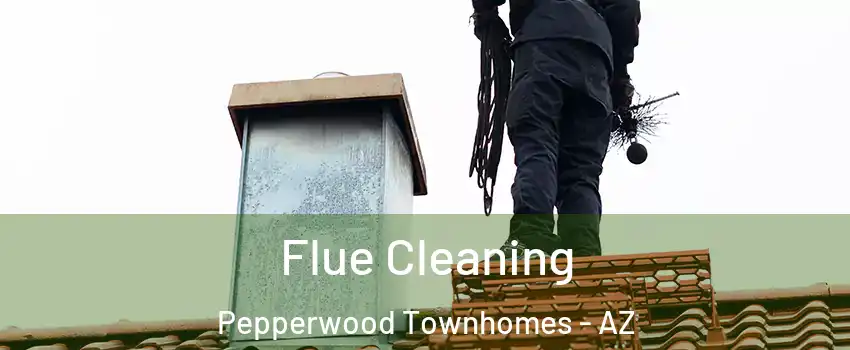 Flue Cleaning Pepperwood Townhomes - AZ