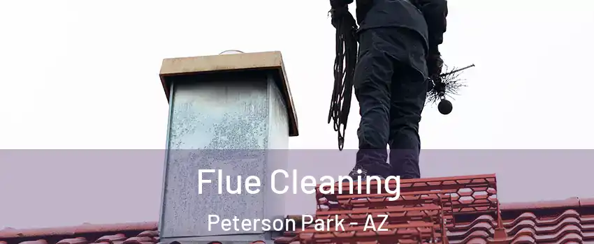 Flue Cleaning Peterson Park - AZ