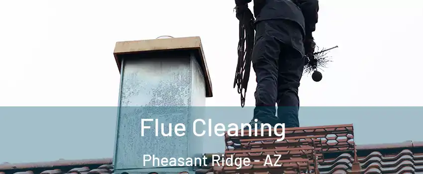 Flue Cleaning Pheasant Ridge - AZ