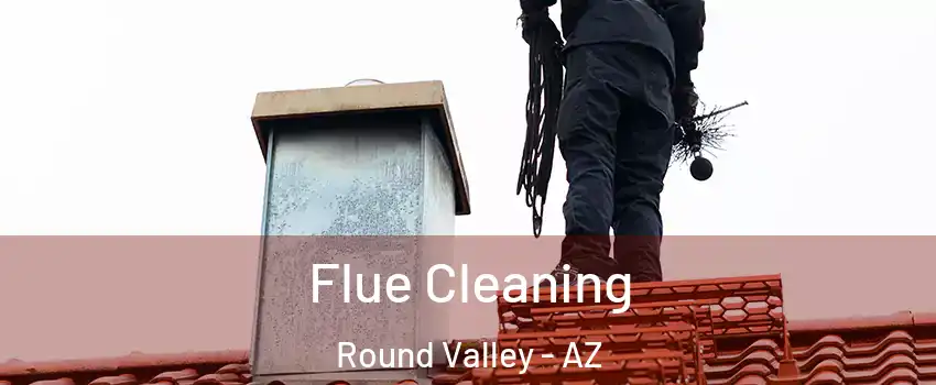 Flue Cleaning Round Valley - AZ