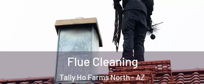 Flue Cleaning Tally Ho Farms North - AZ