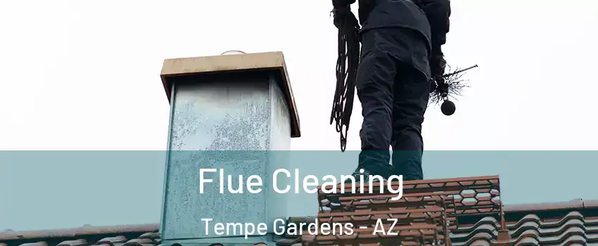 Flue Cleaning Tempe Gardens - AZ