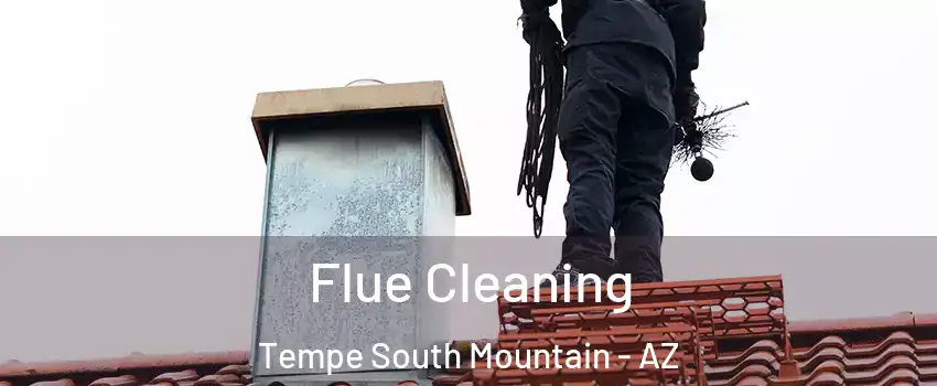 Flue Cleaning Tempe South Mountain - AZ