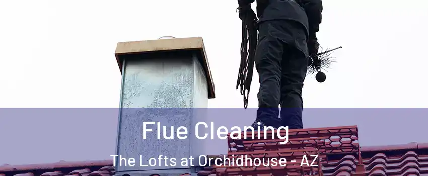Flue Cleaning The Lofts at Orchidhouse - AZ