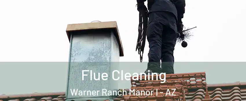 Flue Cleaning Warner Ranch Manor I - AZ