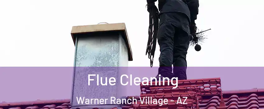 Flue Cleaning Warner Ranch Village - AZ