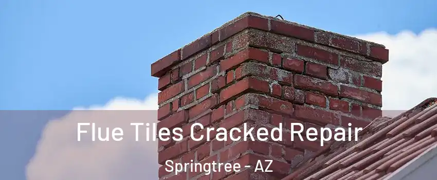 Flue Tiles Cracked Repair Springtree - AZ